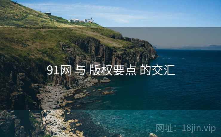 91网 与 版权要点 的交汇 第2张 91网 与 版权要点 的交汇 第2张