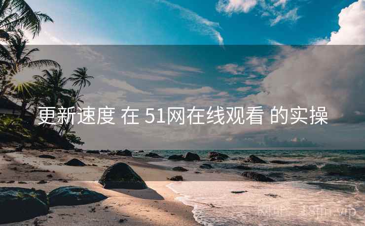更新速度 在 51网在线观看 的实操