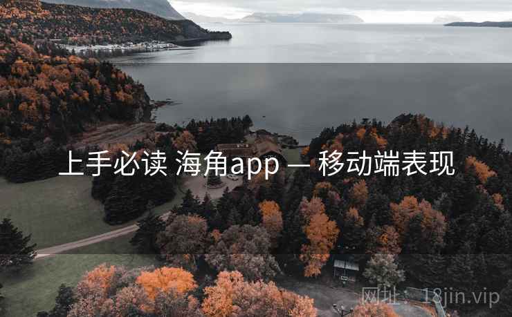 上手必读 海角app — 移动端表现